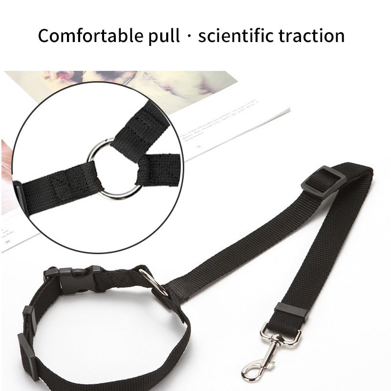 safedogcollar