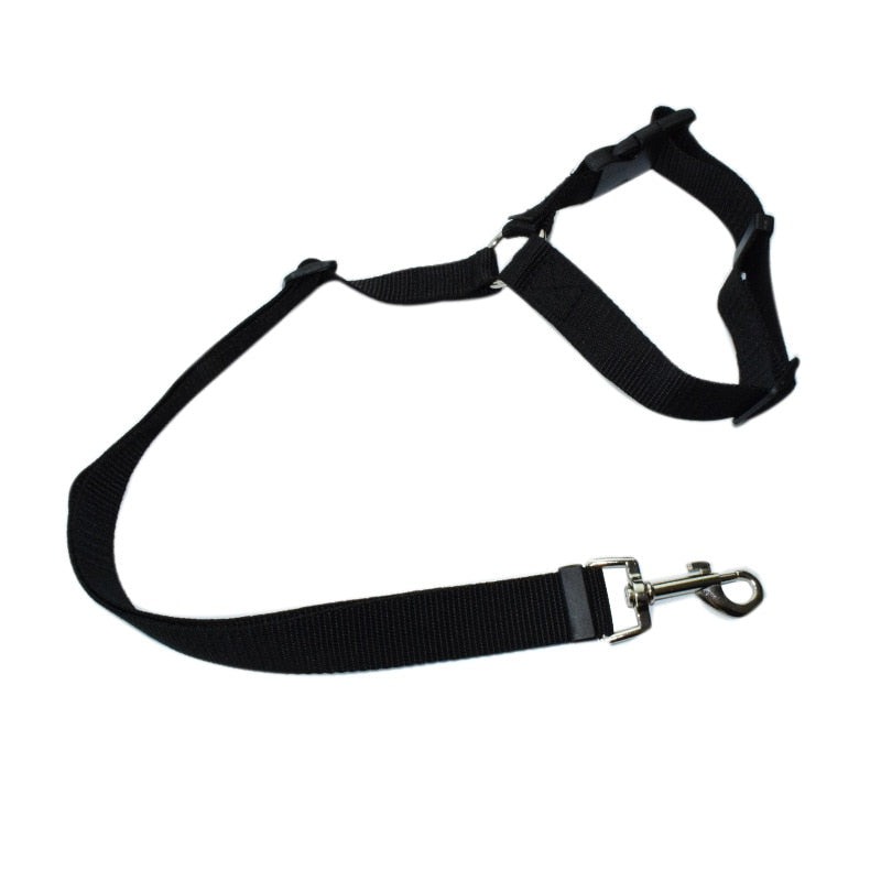 safedogcollar